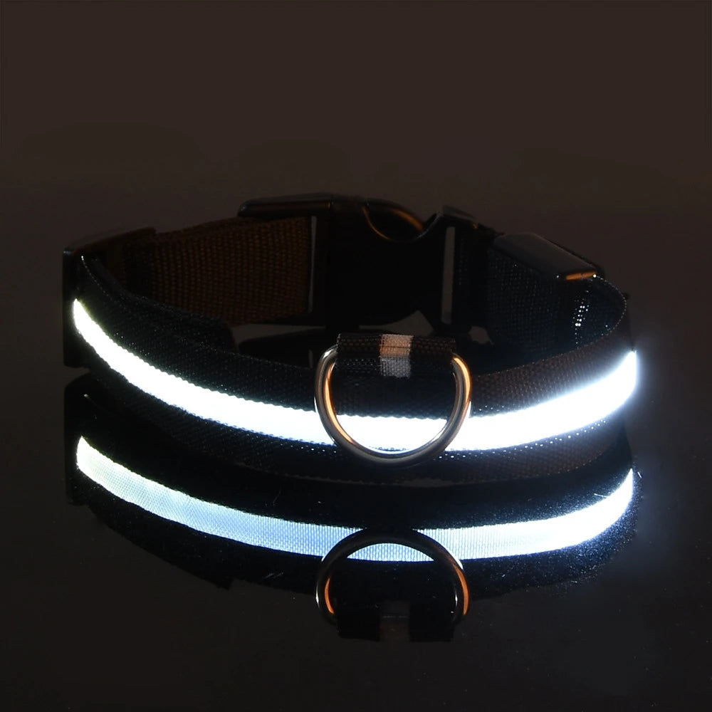 Nylon LED Night Safety Dog Leash – Glow in the Dark Fluorescent Dog Collar & Leash for Nighttime Walks