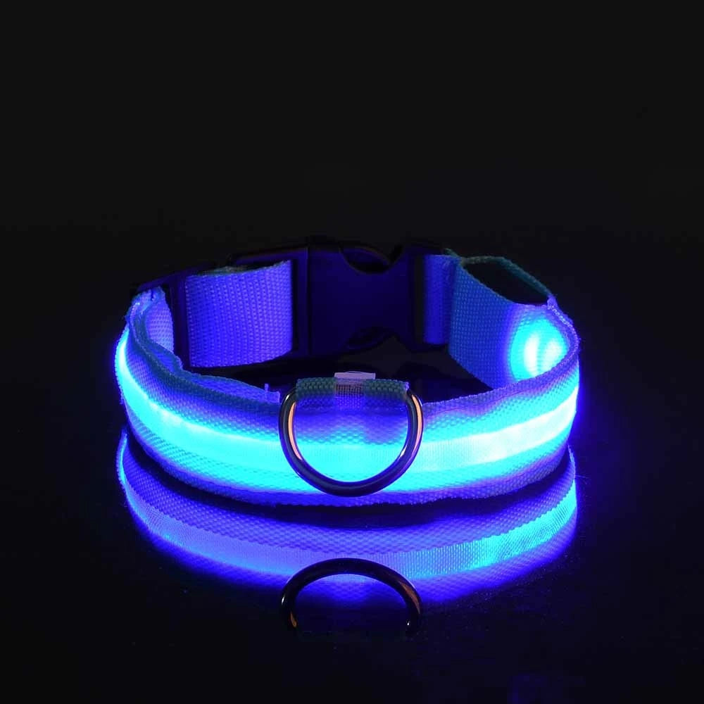 Nylon LED Night Safety Dog Leash – Glow in the Dark Fluorescent Dog Collar & Leash for Nighttime Walks