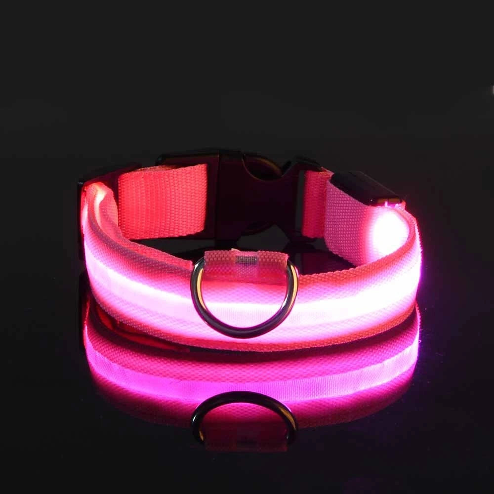 Nylon LED Night Safety Dog Leash – Glow in the Dark Fluorescent Dog Collar & Leash for Nighttime Walks