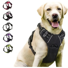 Adjustable Dog Harness