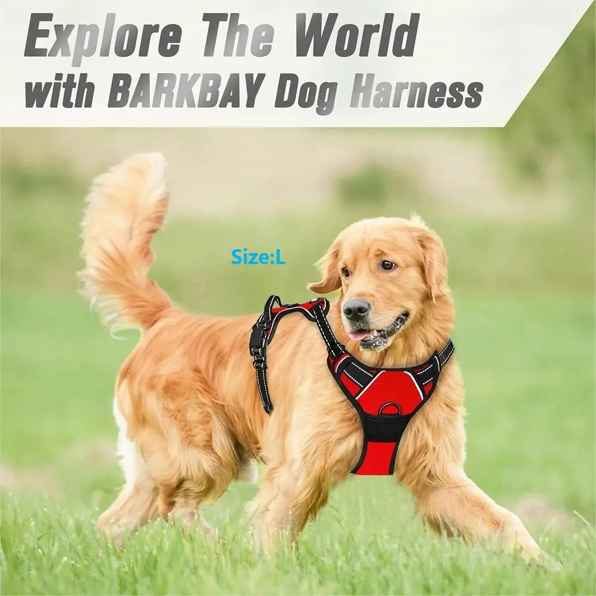 Adjustable Dog Harness