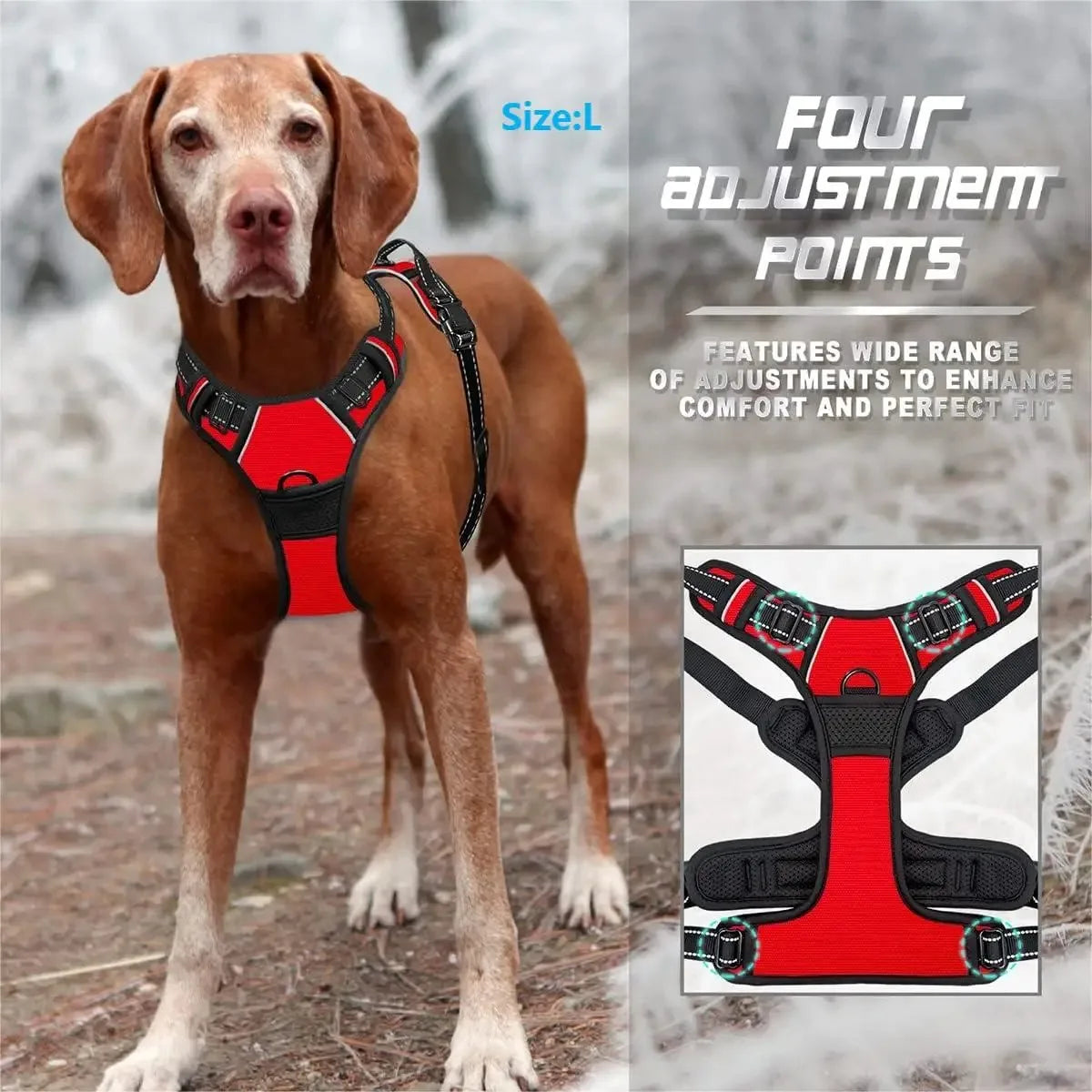 Adjustable Dog Harness