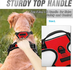 Adjustable Dog Harness