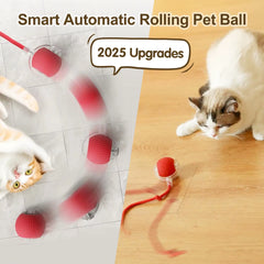 Cat Interactive Ball Toy – Automatic Rolling Ball with Tail, Rechargeable Smart Pet Toy