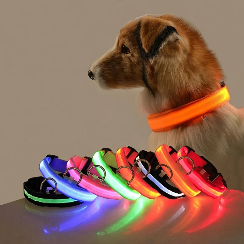 Nylon LED Night Safety Dog Leash – Glow in the Dark Fluorescent Dog Collar & Leash for Nighttime Walks